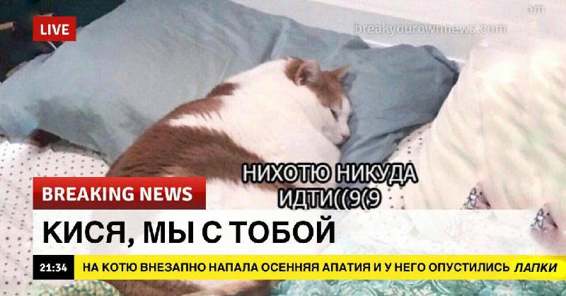 Vvvvv nnnnnn mmmm eeee