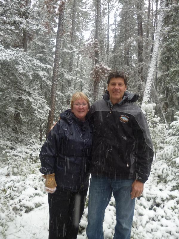A surpried White Christmas