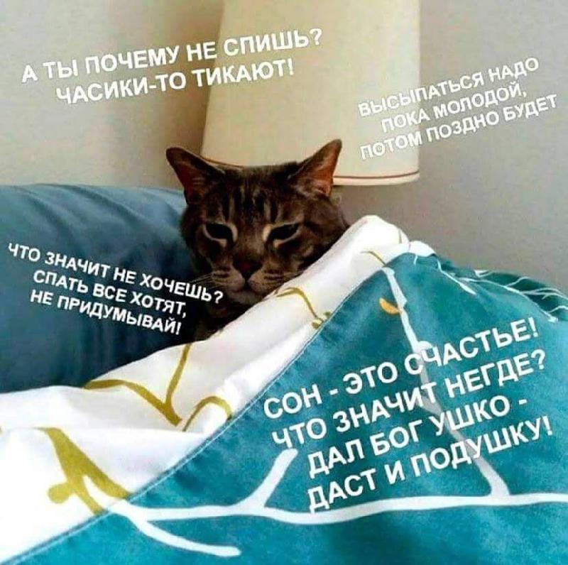 Рогшорпммрош