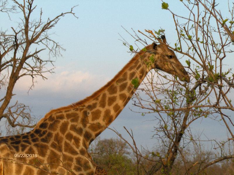 South African holiday....no other place could ever compare!