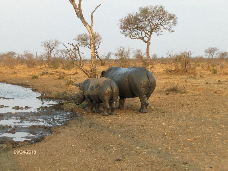 South African holiday....no other place could ever compare!