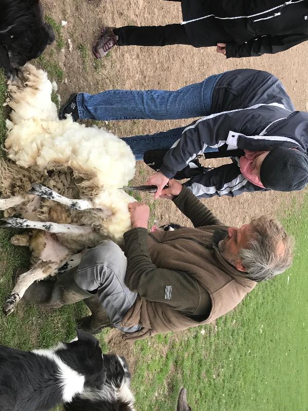Outstanding tour of Scotland