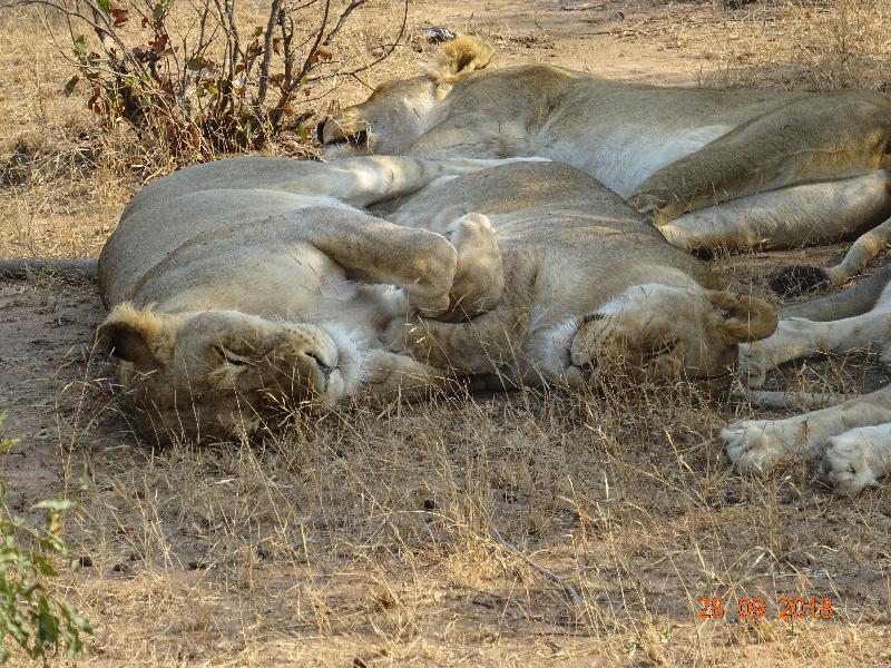 Fantastic trip to South Africa.