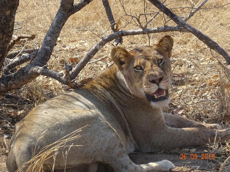 Fantastic trip to South Africa.