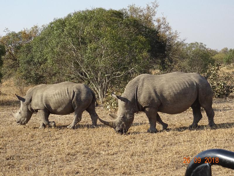 Fantastic trip to South Africa.