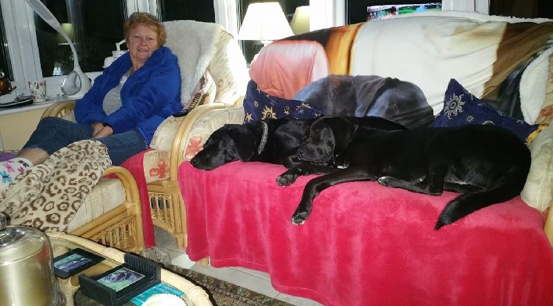 We have both dogs insured with you Betty and Monty