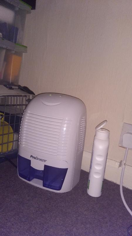 Good dehumidifier for decent price