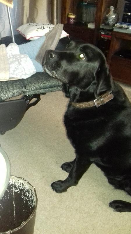 this is our fudge