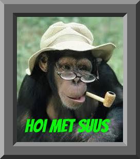 heb er niets verder  aan toe te oegen hij werkt perfect