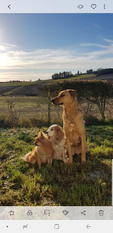 I love that Bella & Duke genuinely love and care about every dog they feed.
