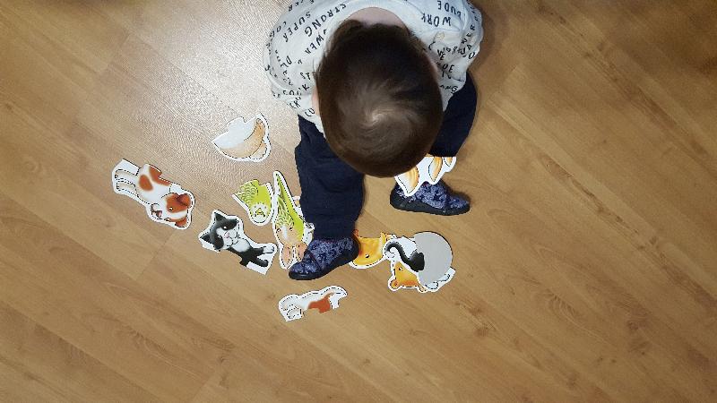The best puzzles