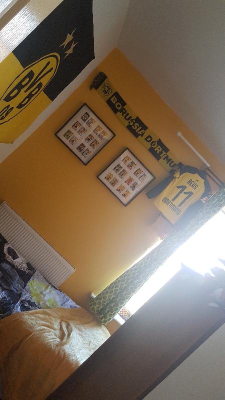 Perfect experience anf one happy UK BVB fangirl.