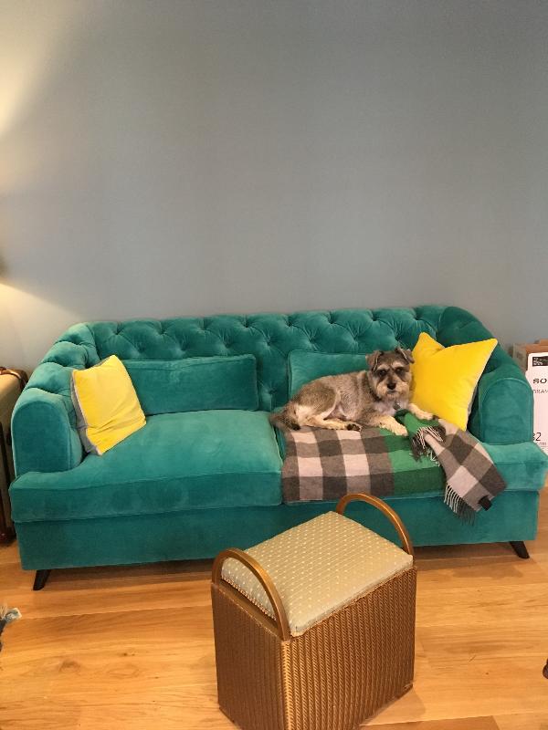 I love my sofa!