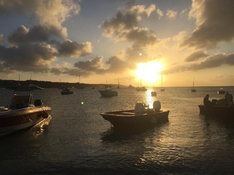 Moorings in St Martin did a great job.  your Clearwater office not so much.