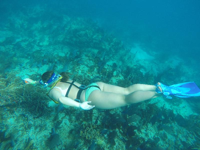 Great experience