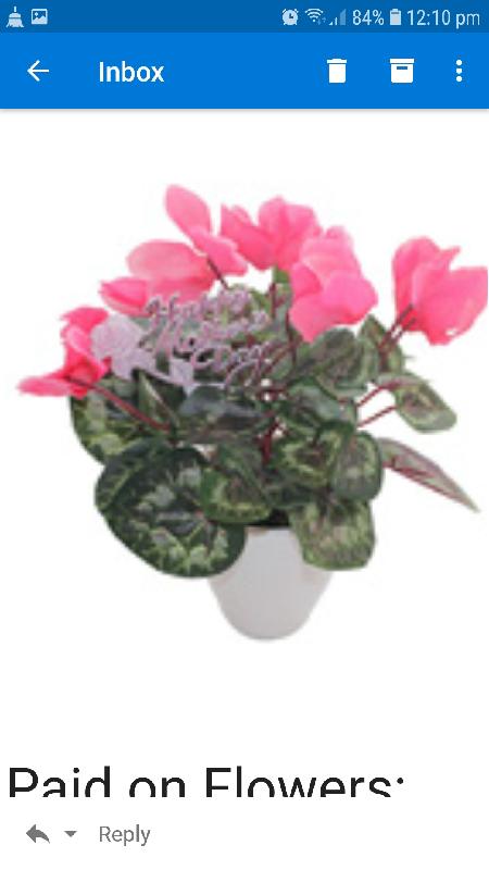 Please don't leave price on delivered flowers & match descriptions ordered.