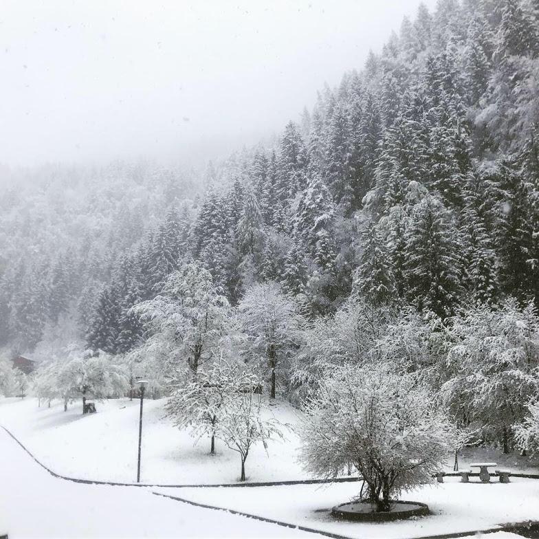 Surprise Snow Day