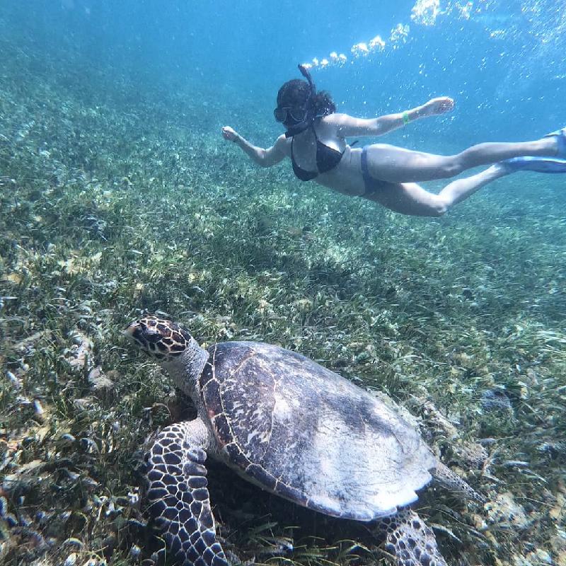 Don't miss this snorkel opportunity