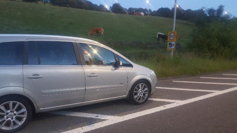 Absolute joke is Rac