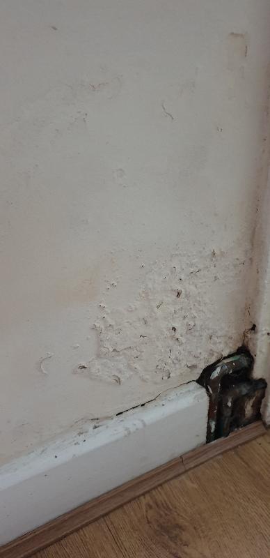 Damp, mouldy, smelly property not fit for letting
