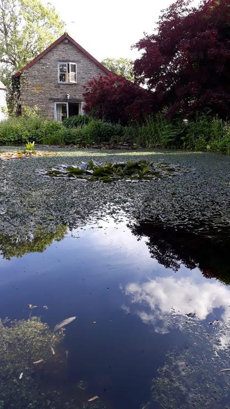 Great Holiday at Pond Cottage