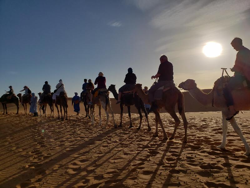 Great travel company - fantastic trips.