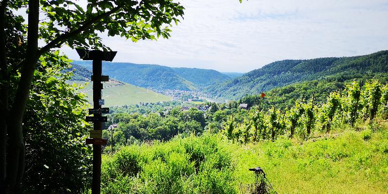 Tolle Wanderreise
