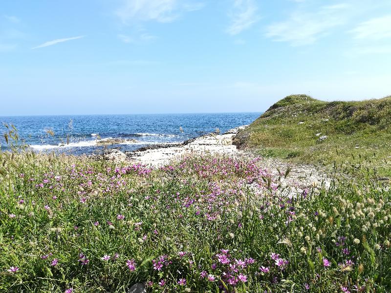 Frühling in Apulien- einfach mal die Seele baumeln lassen!