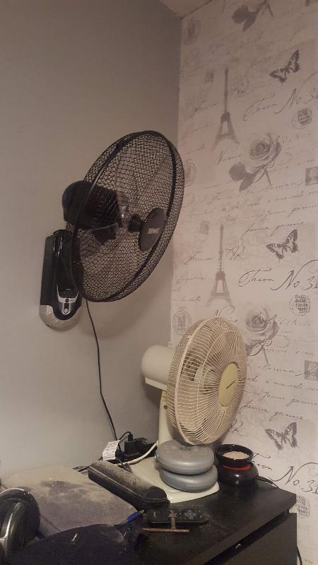 Exceptional fan