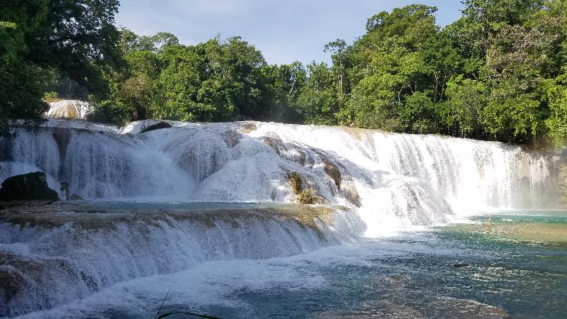 Tour to Palenque ruins in Chiapas, Mexico