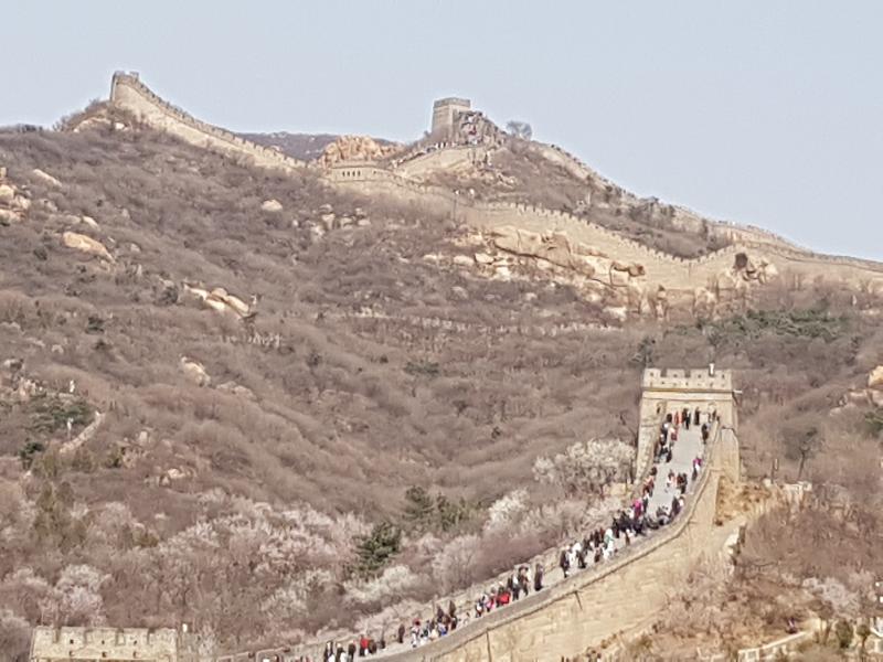 Amazing China Express Tour