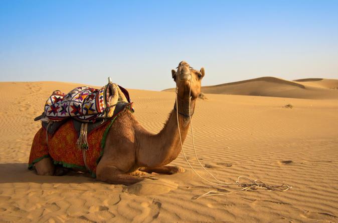 Extremely Amazed With Oman