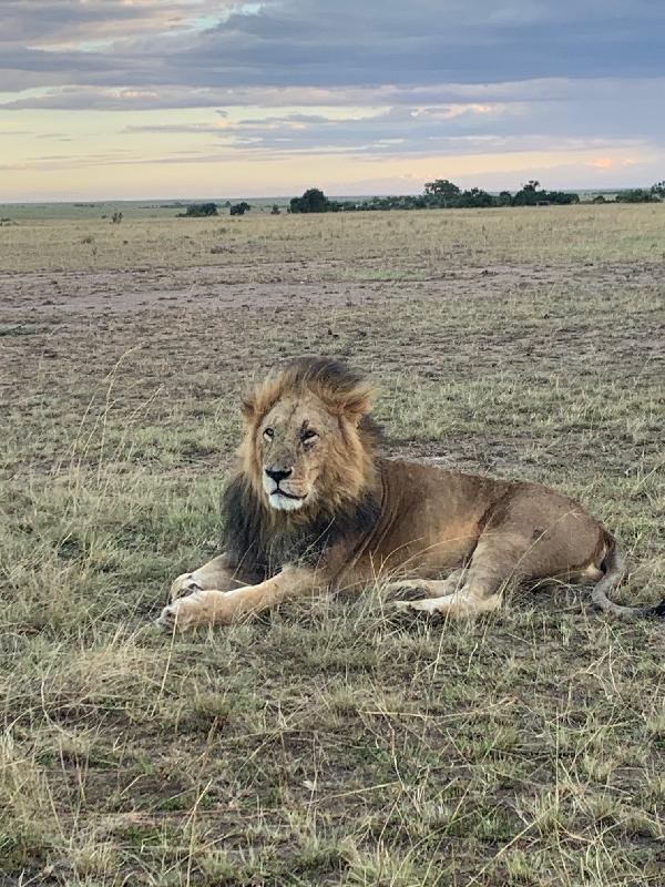 Family trip to Kenya