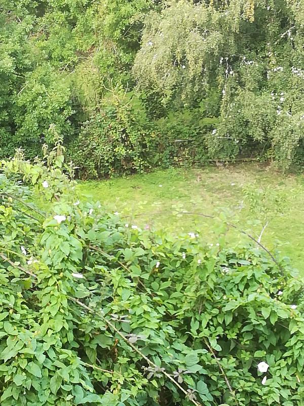 Ideal cottage in an ideal villiage