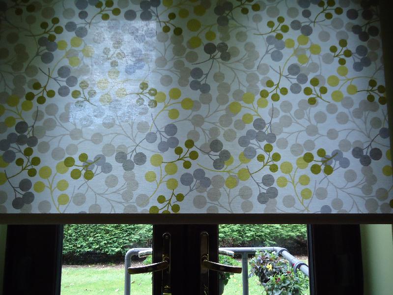 I would choose Electra Blinds for future purchases