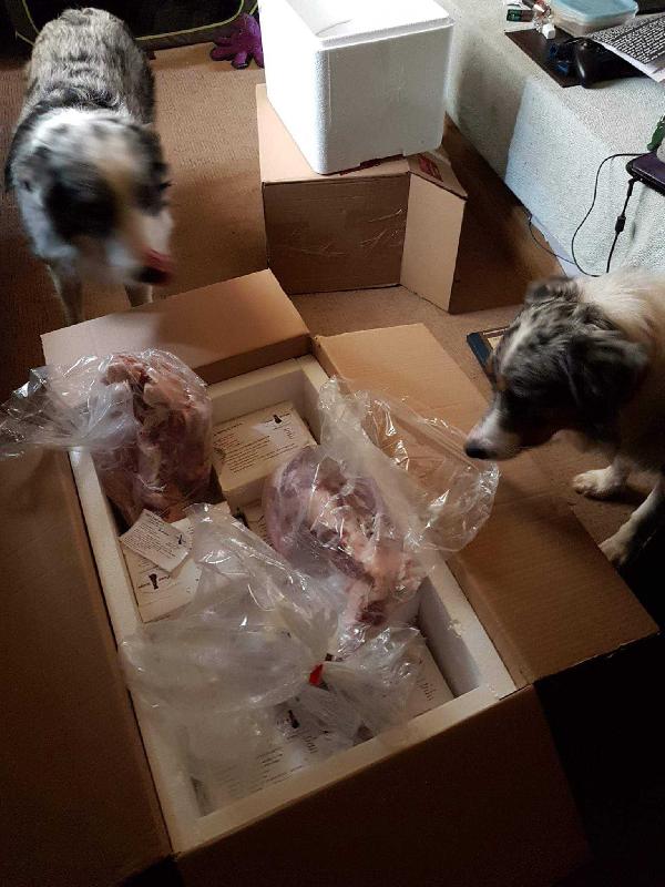 Pawsome Paleo