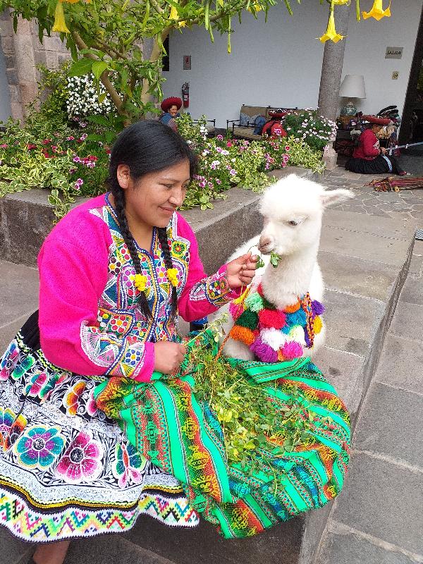 Easy to use website..trip to Peru..unforgetable!!!