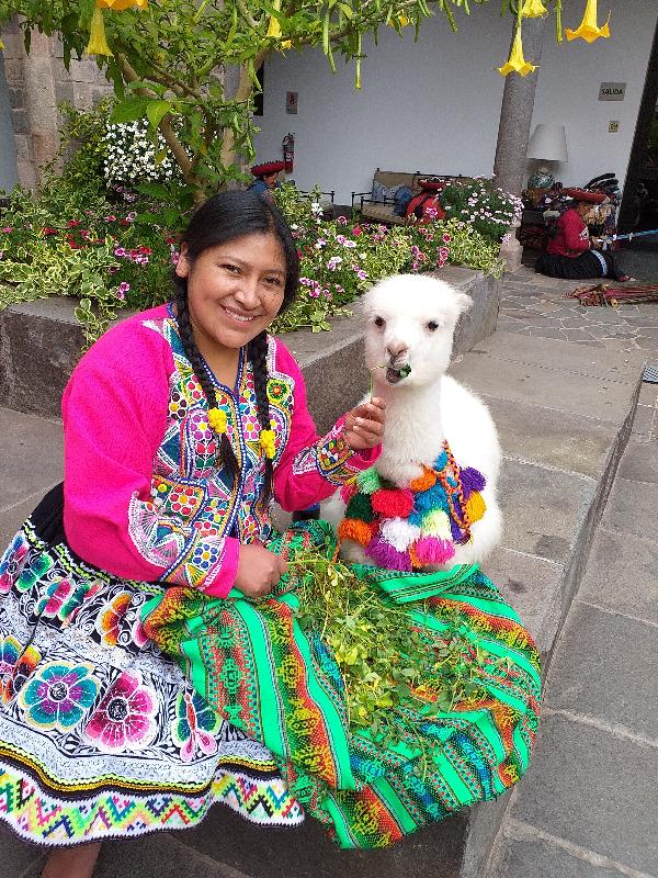 Easy to use website..trip to Peru..unforgetable!!!