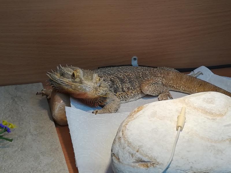 Good help with ongoing care.