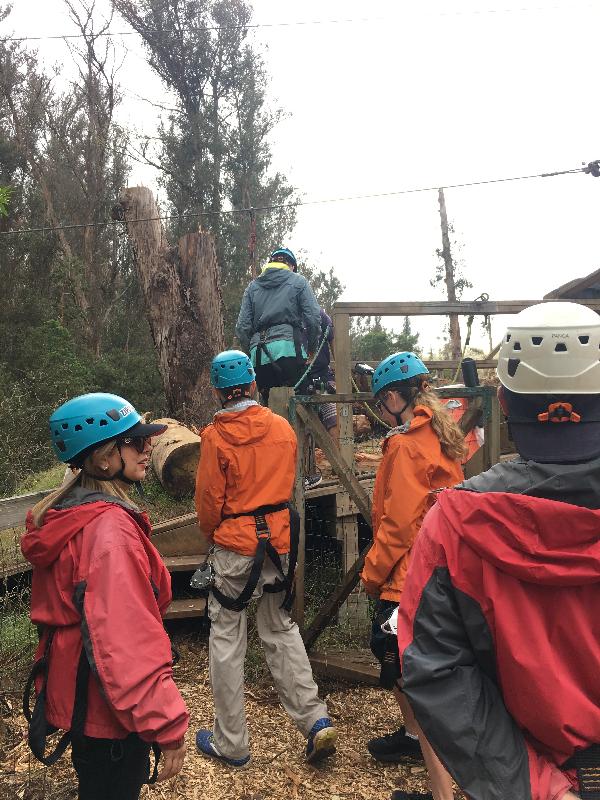 Super-fun Zipline Experience for Beginners