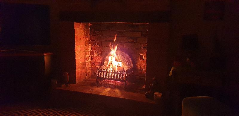 The Ash logs are superb. So flammable that I don't even need kindling!