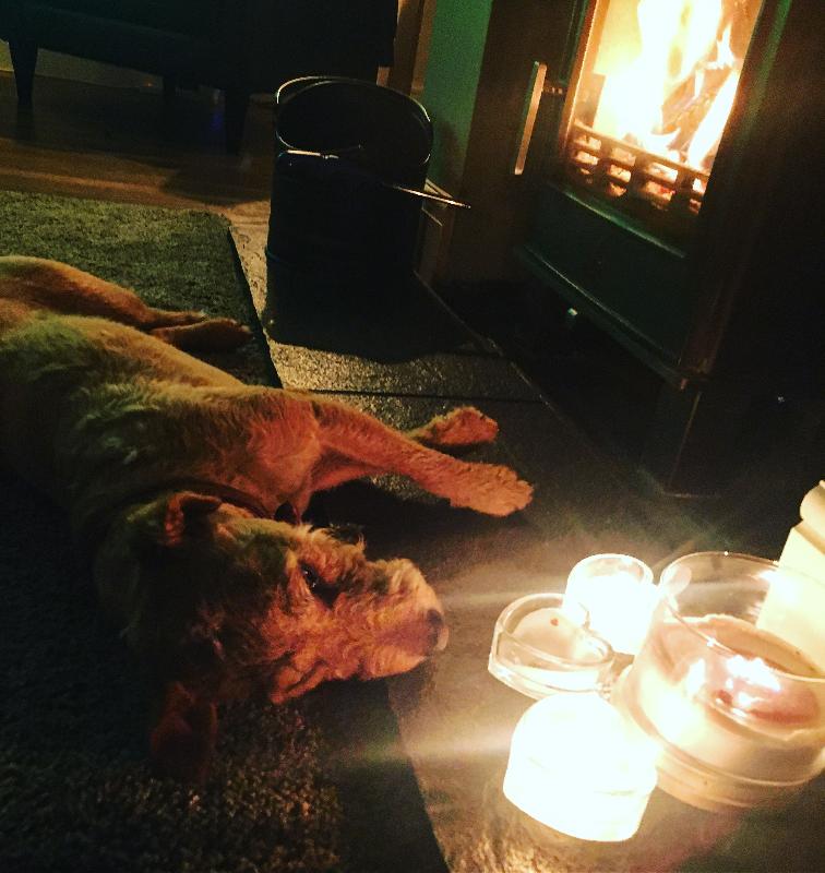 By far the best kiln dry fire logs