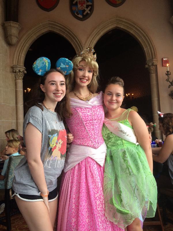 Amazing Disney World