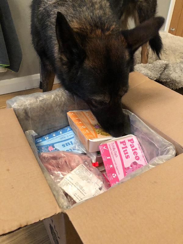 Fantastic service and top quality product! Only the best for my boy!
