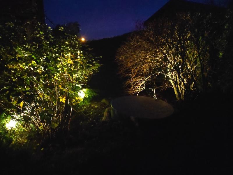 The garden is very warm :)