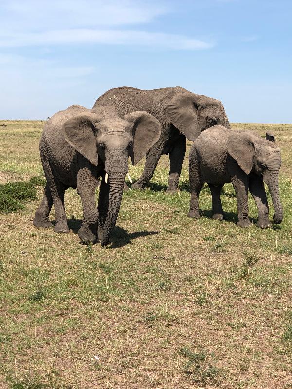 Tanzania was fantastic. Great staff. Couldn’t have been any betteeen better