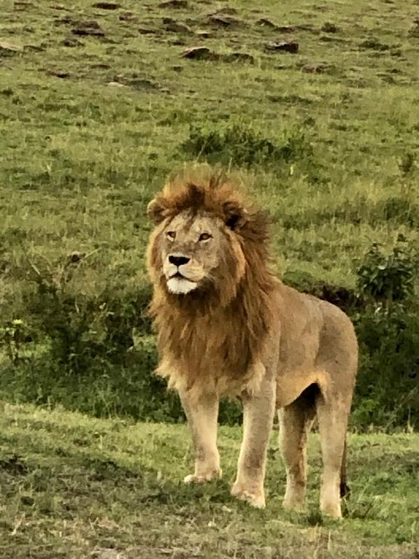 Tanzania was fantastic. Great staff. Couldn’t have been any betteeen better