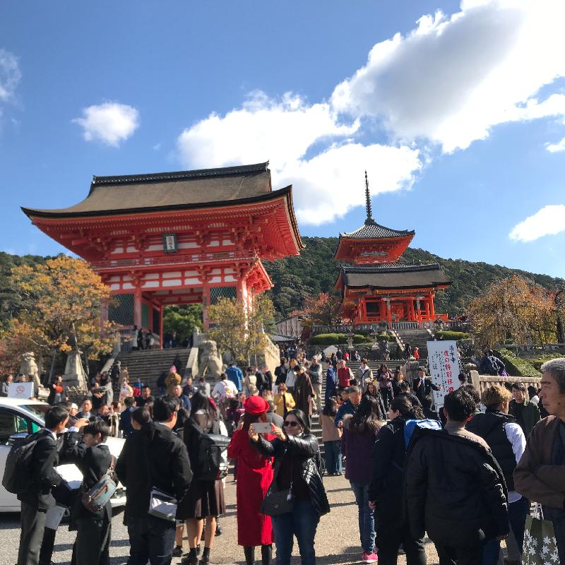 Awesome Trip to Japan
