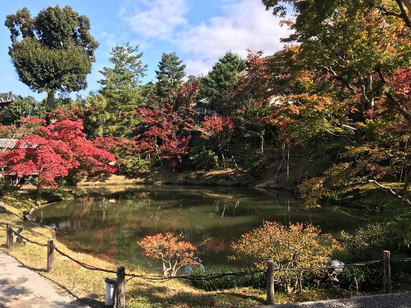Awesome Trip to Japan