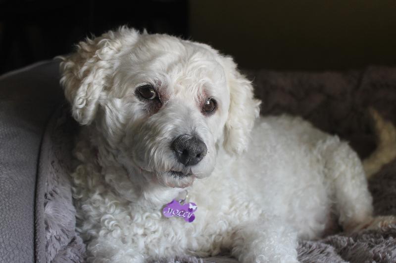 I would've lost my little girl many years beforehand if she wasn't insured